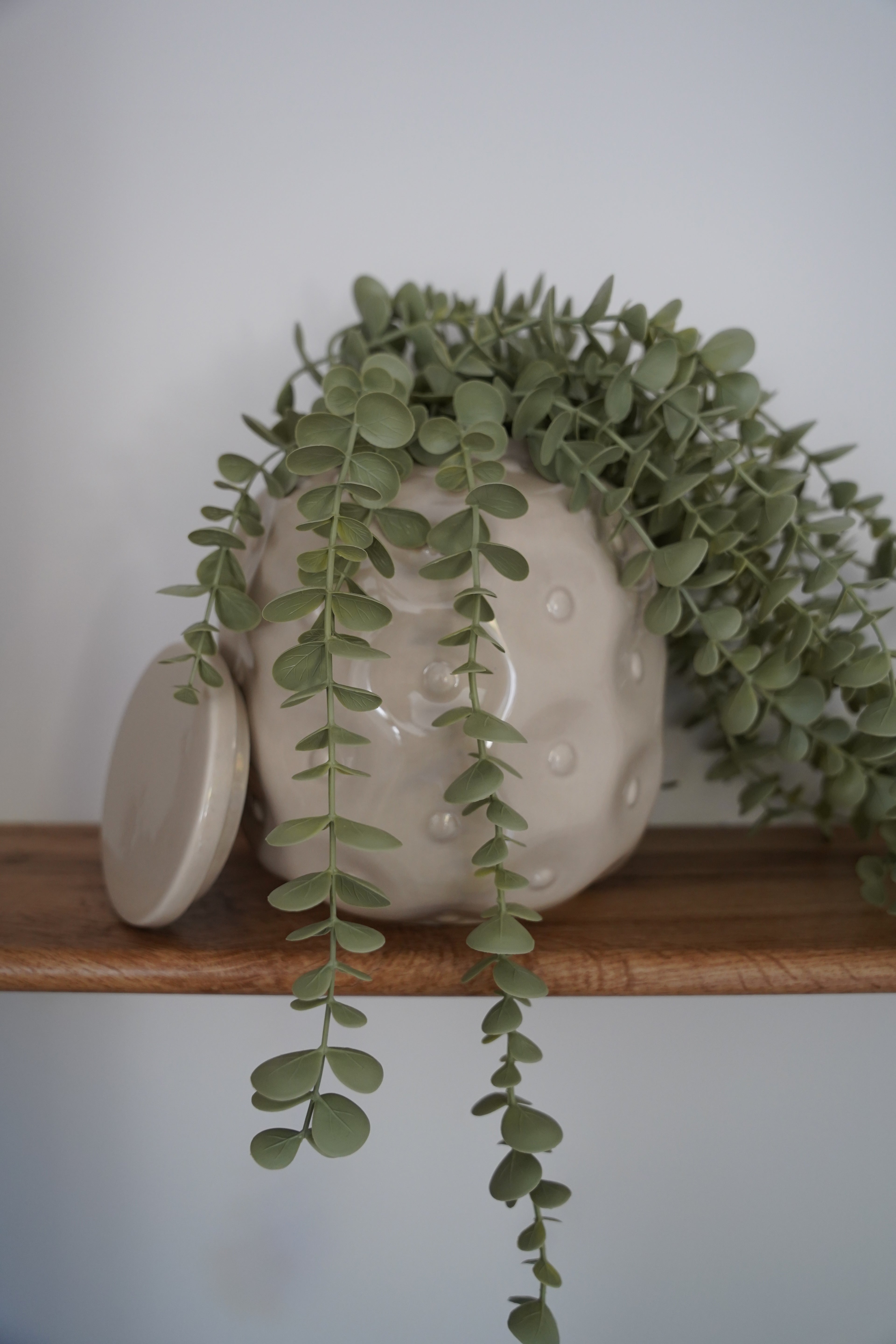 Vase pot Pigna